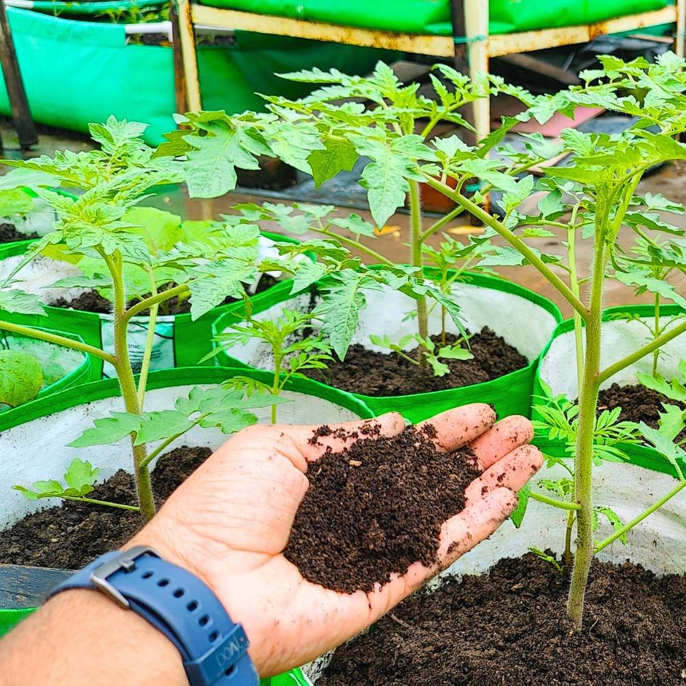 Vermicompost_Fertilizer_for_Plants