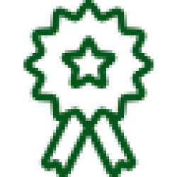 most-experienced-icon